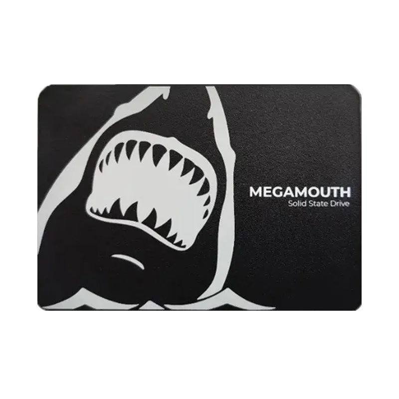 Ổ cứng SSD SSTC M100 512GB | SATA III, 2.5"